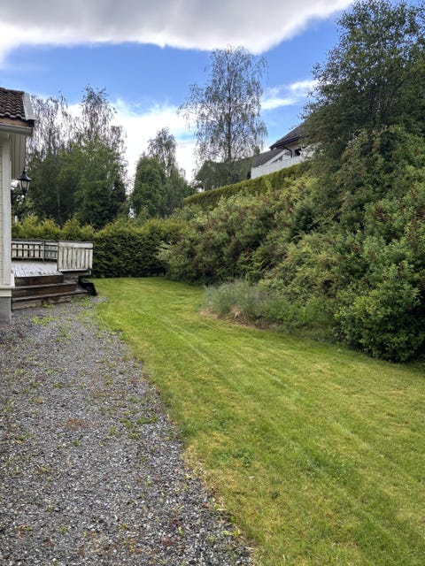 Bilde 2 av annonsen