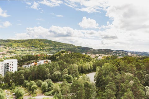 Bilde 2 av annonsen