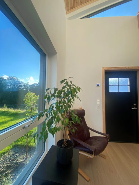 Bilde 1 av annonsen