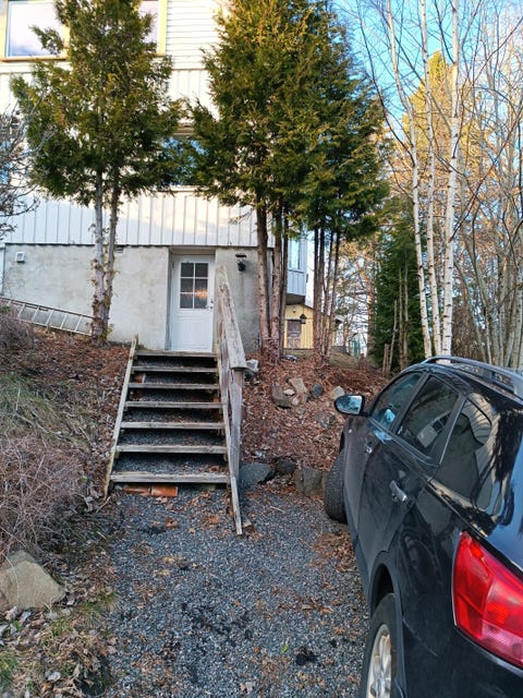 Bilde 1 av annonsen
