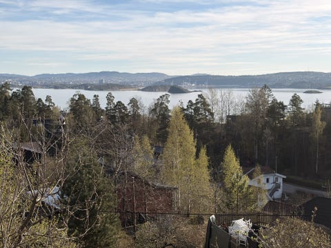 Bilde 2 av annonsen