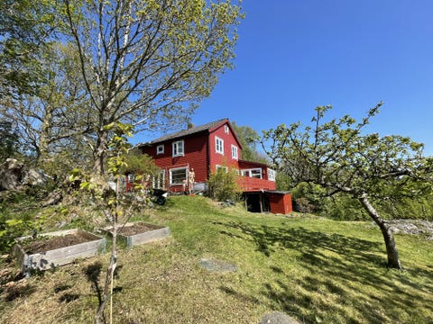 Bilde 1 av annonsen