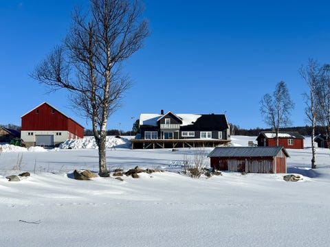Bilde 1 av annonsen