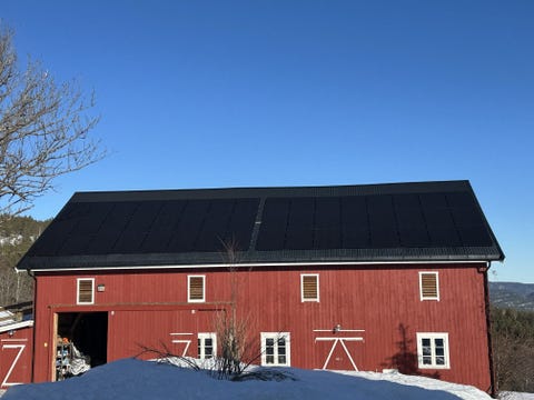 Bilde 1 av annonsen