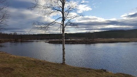 Bilde 2 av annonsen