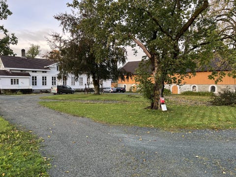 Bilde 1 av annonsen