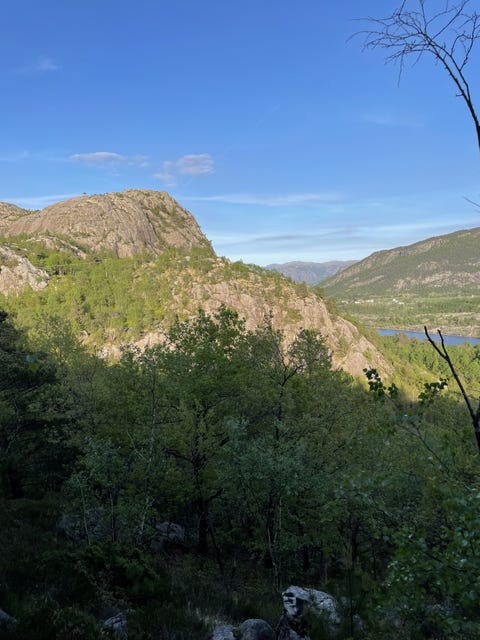 Bilde 2 av annonsen