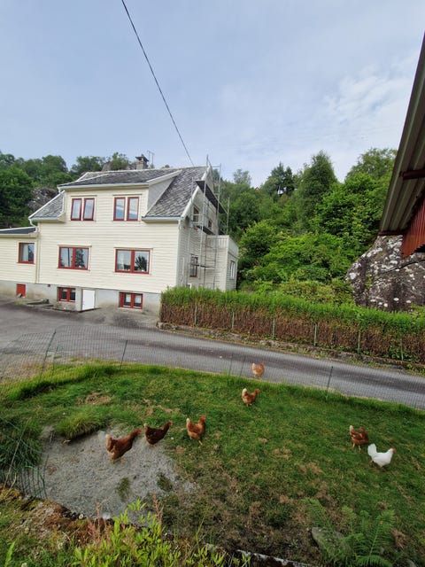 Bilde 2 av annonsen