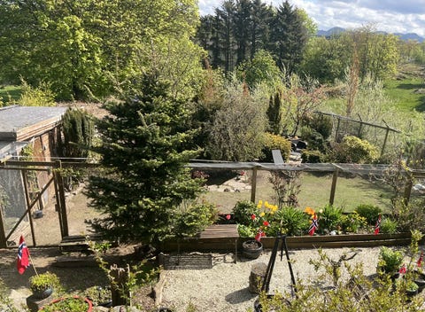 Bilde 1 av annonsen