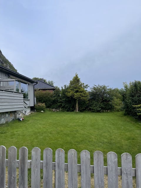 Bilde 2 av annonsen