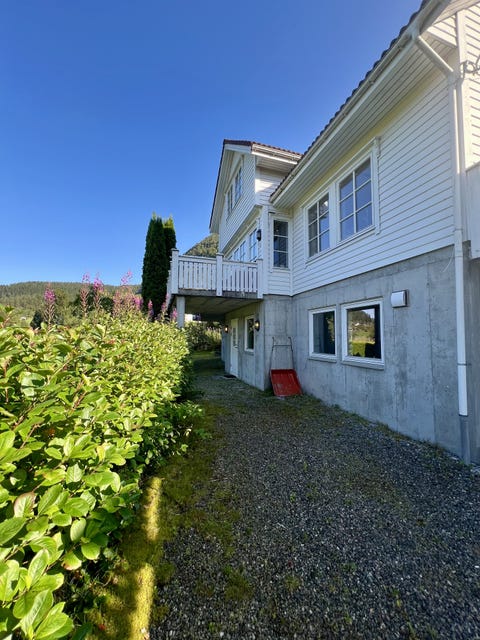 Bilde 1 av annonsen