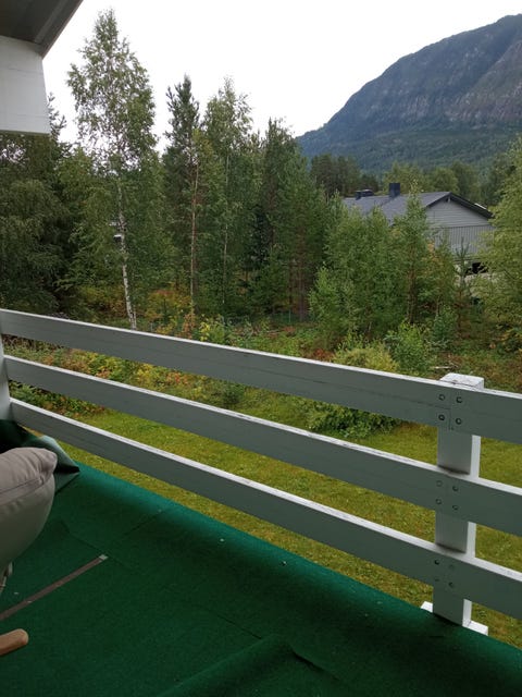 Bilde 1 av annonsen