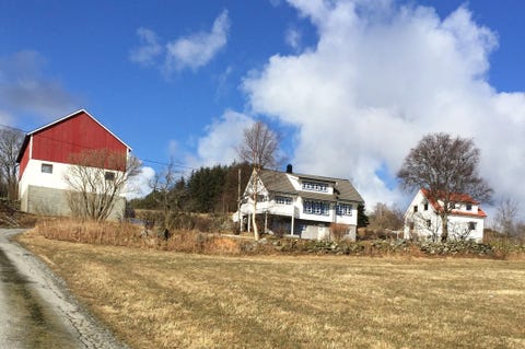 Bilde 2 av annonsen