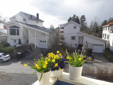 Bilde 2 av annonsen