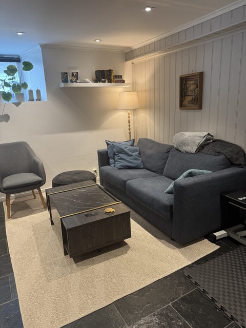 Bilde 1 av annonsen