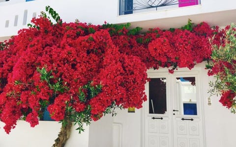 Afrodite Boutique Hotel 5 av 10