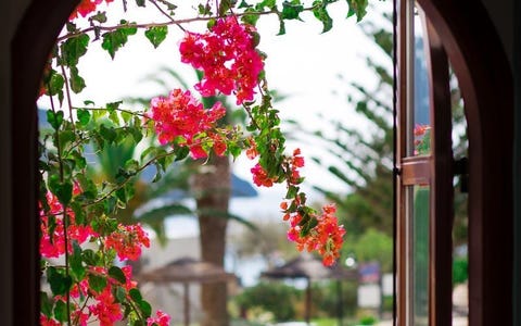 Alianthos Estate Resort 5 av 37