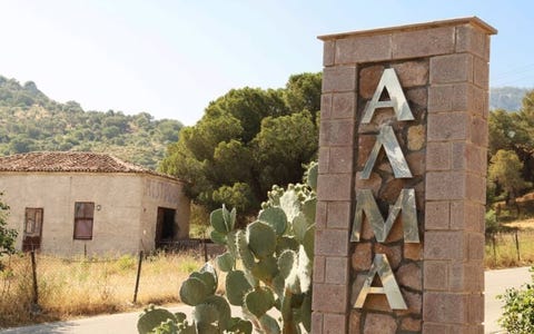 Alma Beach 19 av 20