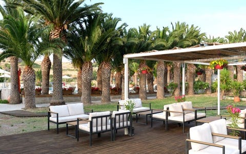 Aphrodite 8 av 18