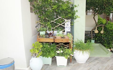 Archipelagos 12 av 16