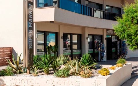 Cactus 20 av 22