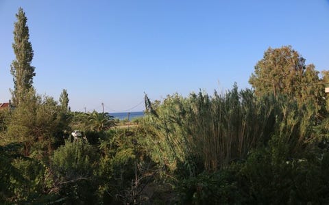 Corali 10 av 10