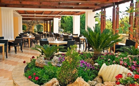Crithonis Paradise 3 av 7