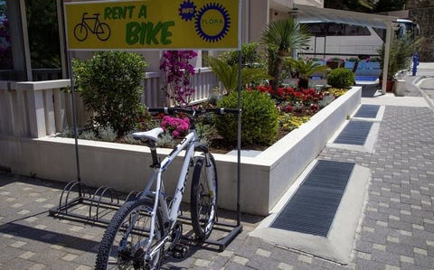 Flora 15 av 20