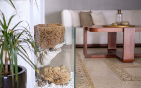 Mari Kristin Beach Hotel - Adults Only 12 av 16