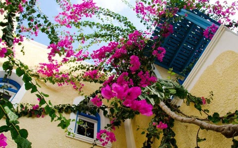 Hotel Zeus 6 av 16