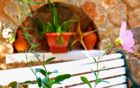 Hotel Zeus 13 av 16