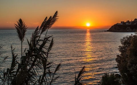 Irini Lesvos 8 av 8