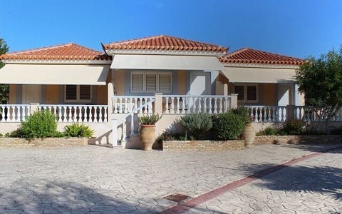 Kamelia 1 av 6