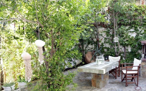 Litsa Lesvos 8 av 10