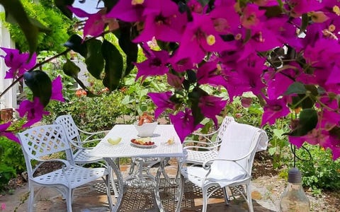 Maria Studios & Apartments Kokkari 3 av 5