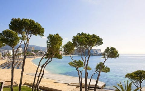 Meliá Calviá Beach 5 av 18