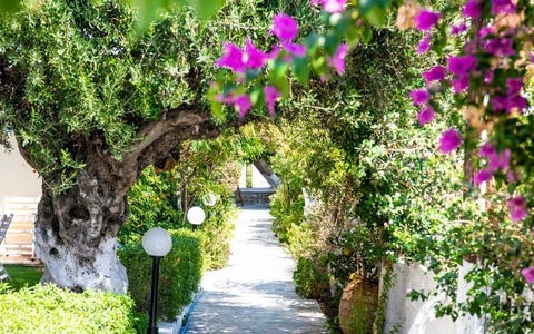 Romantica Karpathos 5 av 16