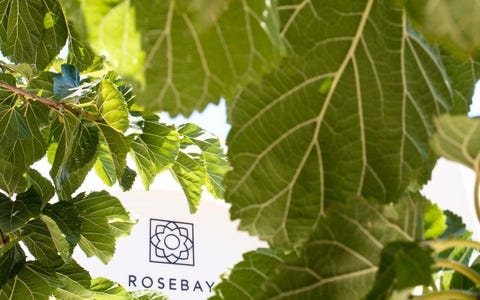 Rosebay 16 av 21