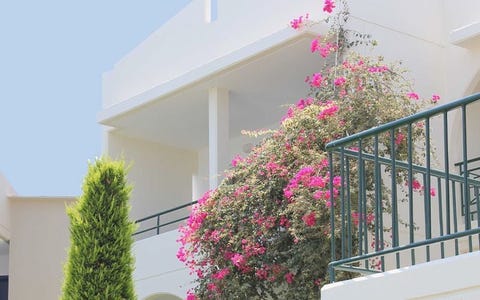 Sea Melody Beach Hotel and Apartments 11 av 21