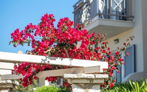 Sivota Retreat - powered by Playitas 10 av 45