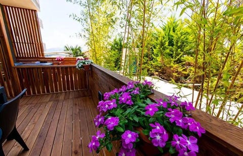 Apollon Hotel 8 av 10