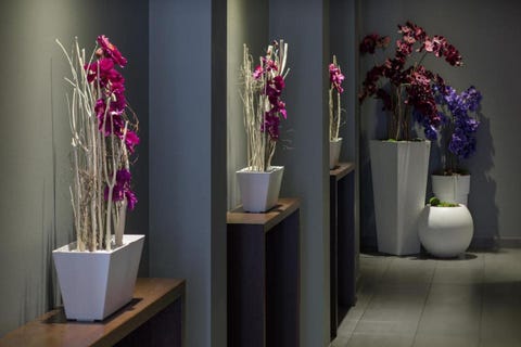 Dodo Hotel 8 av 10