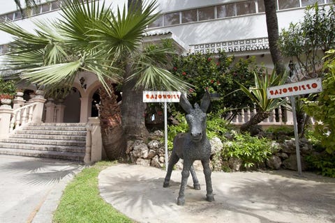 Bajondillo Hotel Aptos 5 av 10