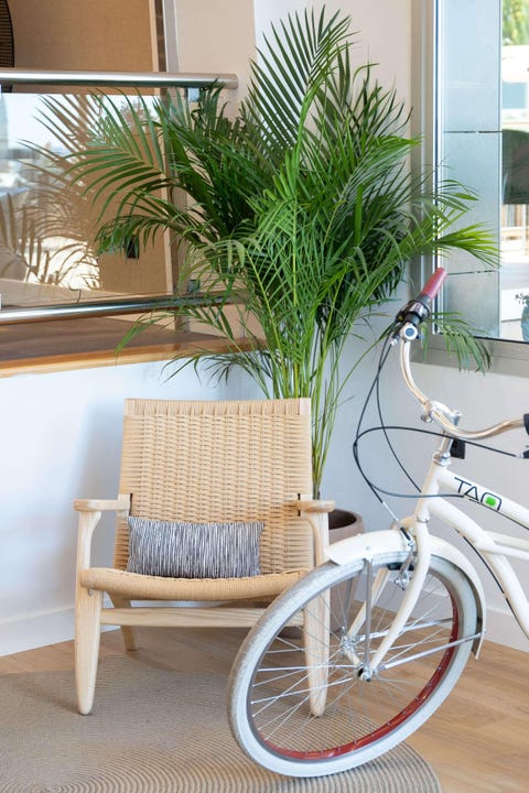 INNSiDE by Meliá Costablanca - Adults recommended 9 av 10