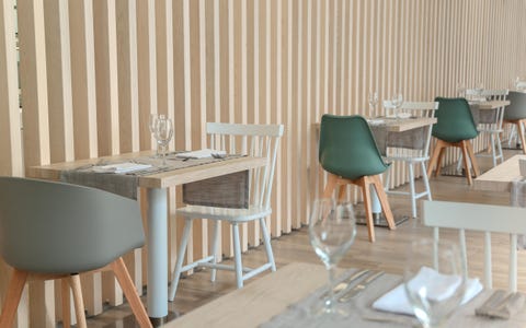Kaktus Playa 7 av 10
