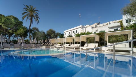 Sentido Fido Tucan - Adults Only 4 av 10