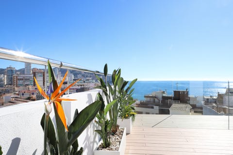 Alameda Hotel 3 av 10