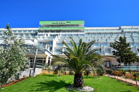 Hedera Hotel 4 av 10