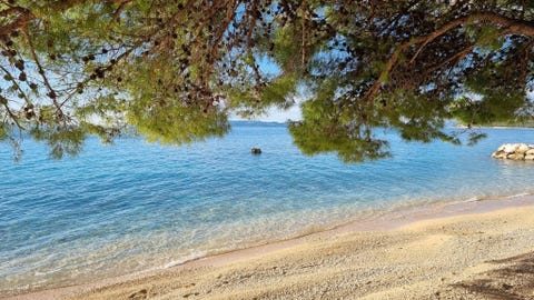 Hotel Villa Marija 9 av 9