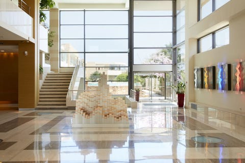 Minoa Palace Resort 9 av 10